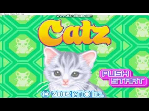 Catz Part 1