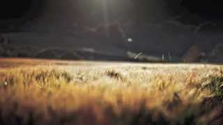 Good Mistake - Mr Little Jeans