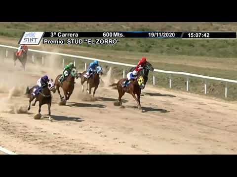 201119 c03 1° SOCIETE TOPAZE - SINT-FLORIDA