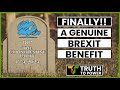 It's BREXIT That Killed The Conservative Party