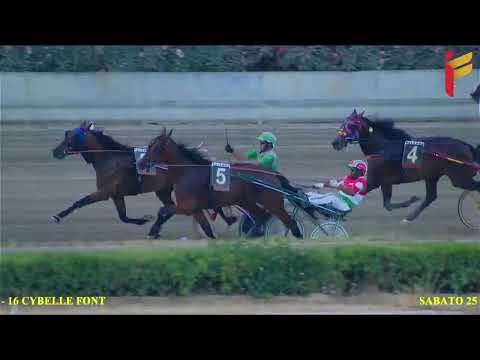 VII Corsa del 25 giugno 2022 - 4 Anni - Metri 1600