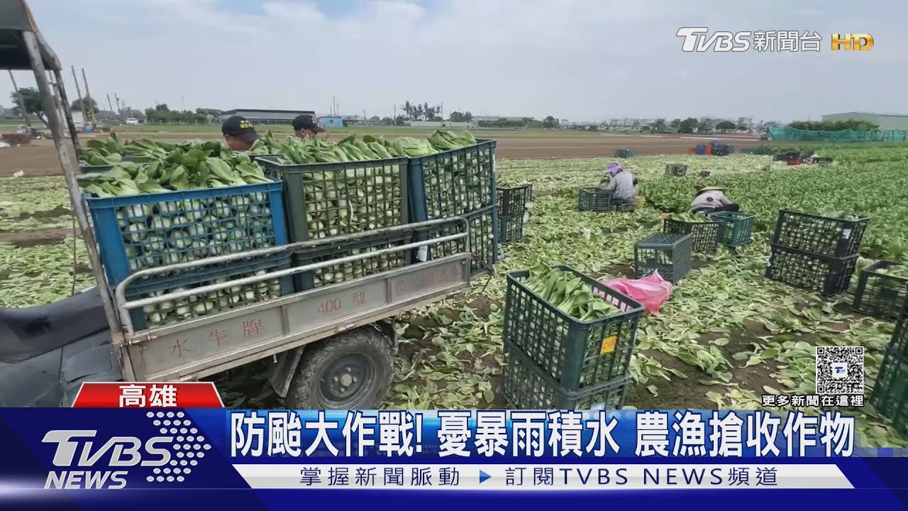 防颱大作戰!憂強颱「樺加沙」暴雨積水 農漁民搶收作物