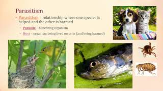 Symbiosis -- Mutualism, Parasitism, Commensalism