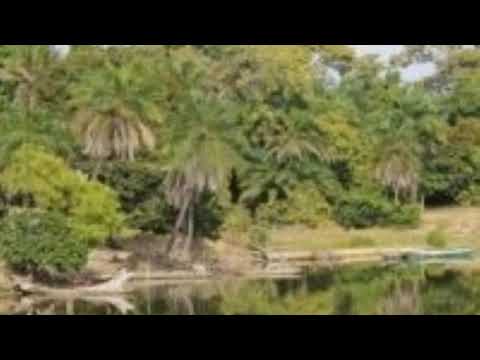 EKONTING Ata Busana 01