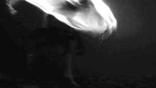 Ataraxia - Fountains