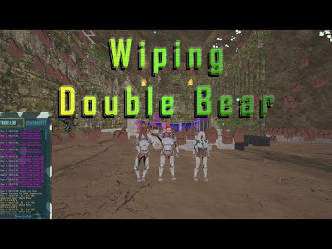 Wiping Double Bear