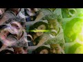 Aanandha Thaandavam Poovinai Tamil Lyric