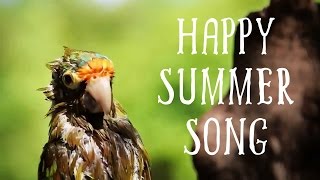 Happy Summer Song - Royalty Free Positive Instrumental Background Music by Basspartout