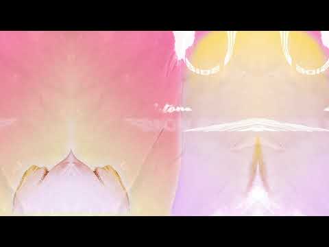 Simon Ray - Right Vibes