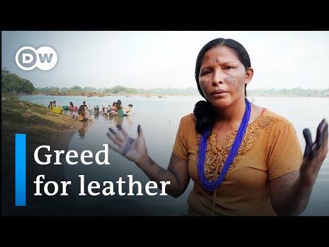 Illegal Leather: How the Car Industry Is Threatening the Rainforest