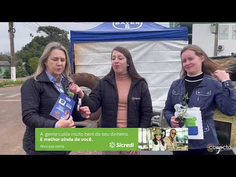 Programa Conexão | Terça-Feira 02.06.26