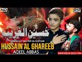 Hussain Al Ghareeb Aqeel Abbas Mola Hussain New Noha 2022 Ali Safdar New Noha 2022