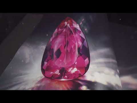 Constantin Wild - THE WILD BOOK