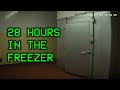 The Girl In The Walk In Freezer The Kenneka Jenkins Disappearance