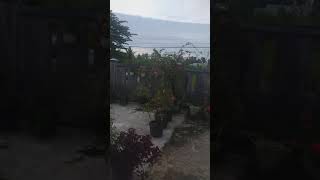 Download lagu pekarangan rumah mp3 Download lagu pekarangan rumah mp3