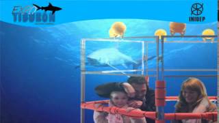 DIA 2 Expo Tiburon186