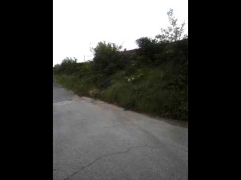 Minuetto Diesel MD 082 in livrea Jazz in transito veloce