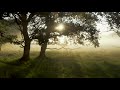 Anything Box - Every Single Day