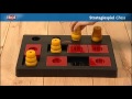 Playing with the Trixie Chess Strategy Game