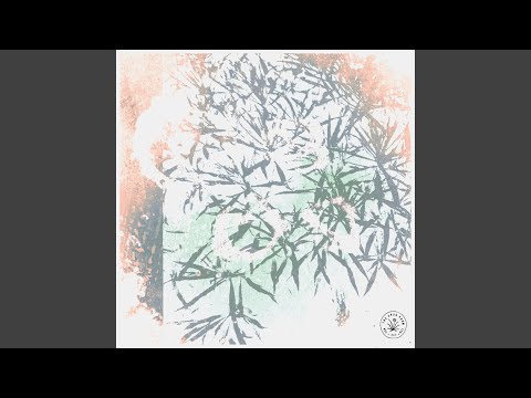 Download WhyFi. - Dreems MP3