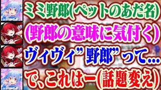 【ヴィヴィ野郎】ぺこらのあだ名の『野郎』の真の意味に気付いたマリンと即話題を変えるぺこちゃんww【ホロライブ/兎田ぺこら/綺々羅々ヴィヴィ/宝鐘マリン】