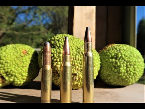 30-30 vs 308 vs 30-06 - Hedge Apples