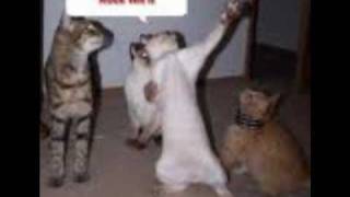 KJ-52: Cartoon Network