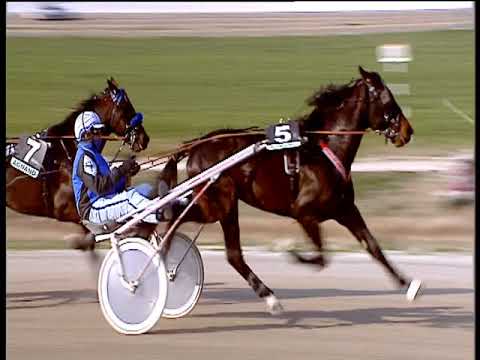 Trotto 20/02/2019 - 1ª corsa