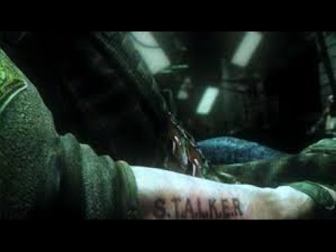 STALKER Anomaly 1.5-Raiding  Military Checkpoint near Rookie Village feat. the Living Legend Strelok