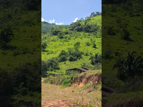 Pedra do Rodeadouro em Bonito Pe #bonito #pernambuco #brasil