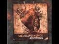 Metallspürhunde - Sie will fliegen 