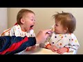 Babies Non Stop 24 Hour Stream Of Endless Cuteness 🫠