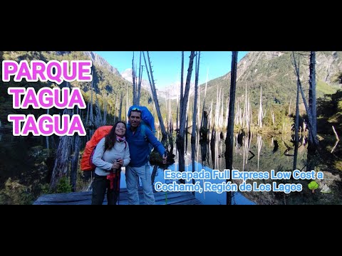 PARQUE TAGUA TAGUA, Cochamó, Región de Los Lagos: Escapada Full Express, Ultra Low Cost !!!!!