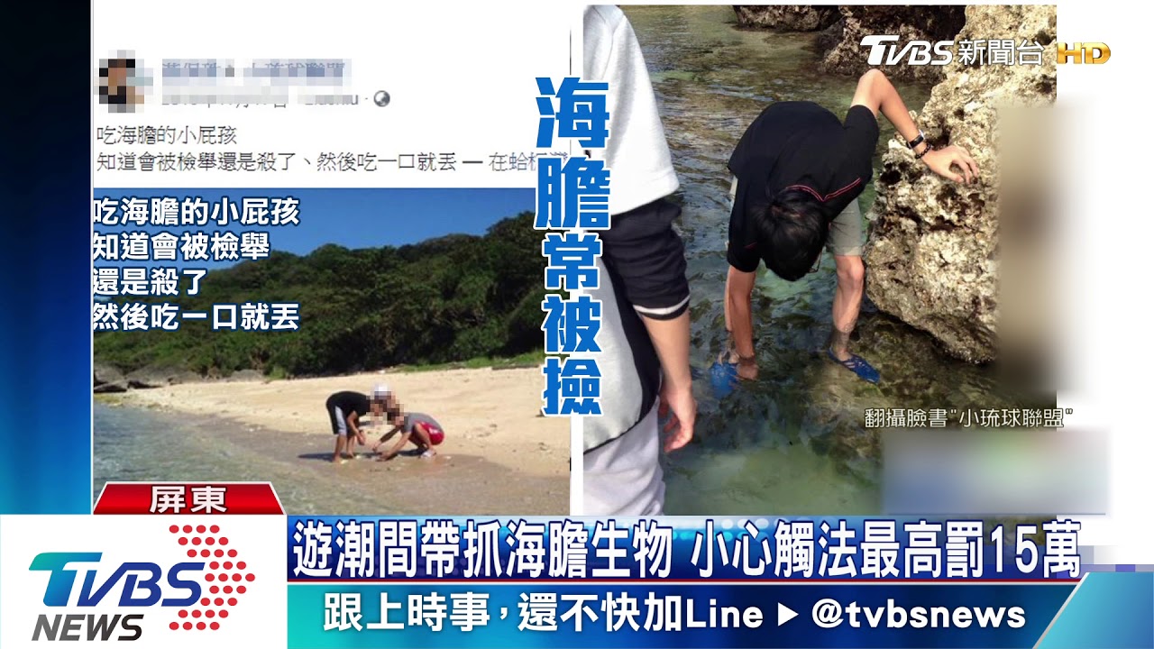 潮間帶被當BUFFET 抓海膽生吃只剩殼