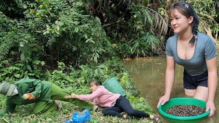 Picking up snails to sell, I was attacked by bad guys - the daily life of a young couple