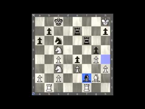 Best chess game David Navara  - Radoslaw Wojtaszek  1-0 - Chess I cờ vua I chess online ✔️