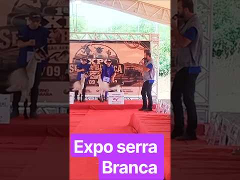 #animais, Expo Serra Branca Paraíba.