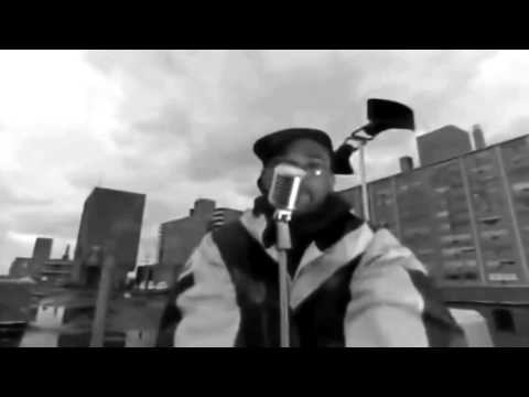 Large Professor - Hip Hop Hardcore (Mz Boom Bap Remix)