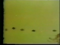 The Letter People TV 13 Meet Mister S