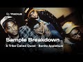 Sample Breakdown A Tribe Called Quest Bonita Applebum