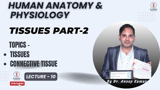 TISSUES PART -2 | CONNECTIVE TISSUE | GROUND SUBSTANCES + FIBRES | @pharmadecoded.i