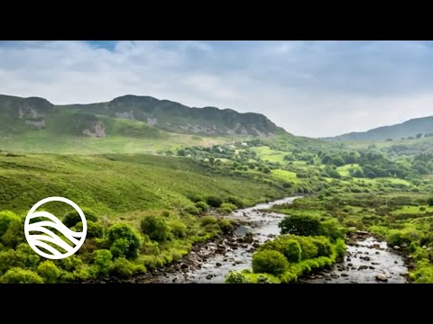 emeraldwave - Celtic Spa (feat. David Arkenstone) [Spa Visualizer]