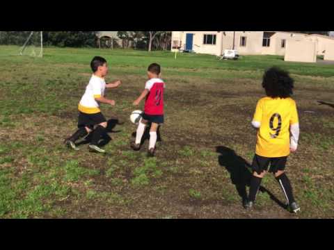 Gallitos 2nd half win 12-2