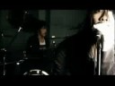 Gerbera - Mucc