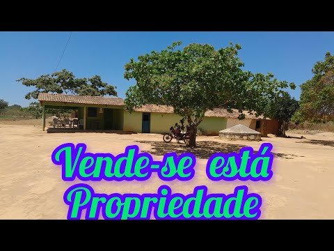 Vende-se está propriedade em Santana do cariri Ceará cont 88 988476514 