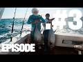 GIANT BLUEFIN Tuna & 10+ BIGEYE #TUNA ON THE TROLL!#fishing The Canyons  W/ Teddy Prager & BryShark DEFAULT Thumbnail