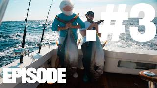 GIANT BLUEFIN Tuna & 10+ BIGEYE #TUNA ON THE TROLL!#fishing The Canyons  W/ Teddy Prager & BryShark MQDEFAULT Thumbnail