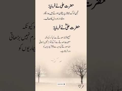 2 Golden Quotes of Hazrat Aliؓ | Life, Patience & Family | Aqwal e Zareen