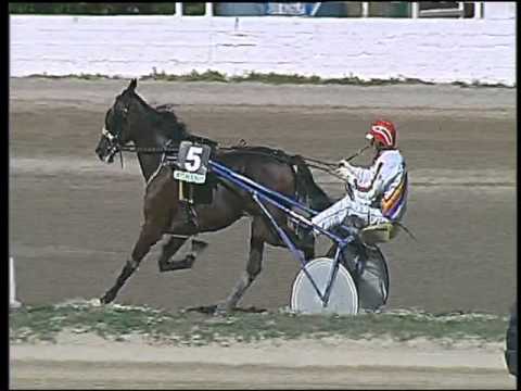 Trotto 04/10/2015 - 1° corsa