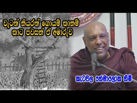 වැටත් නියරත් ගොයම් කා නම් කාට පවසන් ඒ අමාරුව | ketawala hemaloka himi dharma deshana